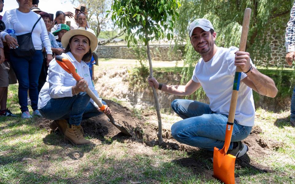 Comienza reforestación en Edomex, la meta es plantar más de 700 mil arboles: Partido Verde – El Sol de Toluca