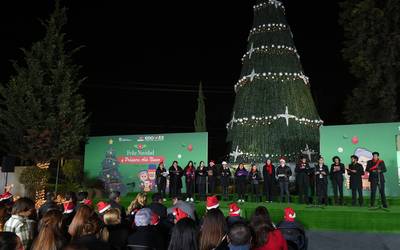 Árboles de Navidad - El Sol de Toluca | Noticias Locales, Policiacas, sobre  México, Edomex y el Mundo