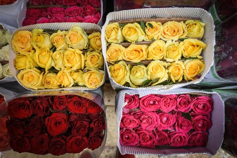 Buscas un arreglo de flores para mamá? El Mercado 16 de Septiembre de  Toluca es una opción - El Sol de Toluca | Noticias Locales, Policiacas,  sobre México, Edomex y el Mundo