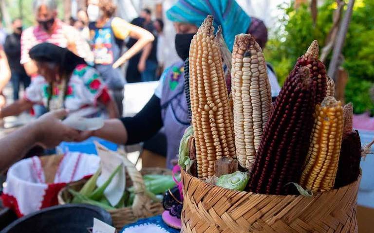 Se encarecerá el maíz cacahuazintle por sequías y granizada del mes pasado  - El Sol de Toluca | Noticias Locales, Policiacas, sobre México, Edomex y  el Mundo