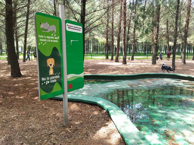 Parque Canino; el lugar idóneo para tus mascotas - El Sol de Toluca