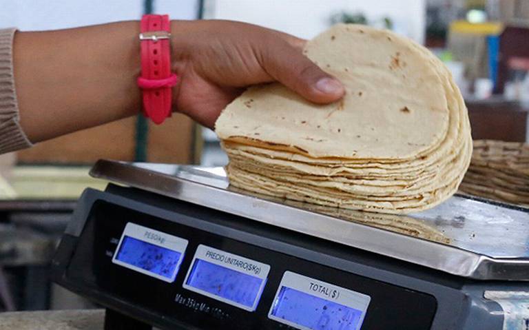 Precio de la tortilla en el valle de Toluca no tendrá ajustes en lo que  resta del año - El Sol de Toluca | Noticias Locales, Policiacas, sobre  México, Edomex y el Mundo