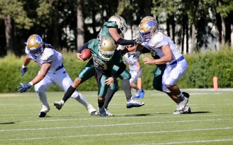 Potros Salvajes continuará en la Conferencia de los 14 Grandes de ONEFA -  El Sol de Toluca | Noticias Locales, Policiacas, sobre México, Edomex y el  Mundo